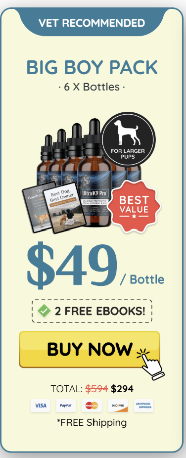 UltraK9 Pro Big Boy Pack pricing card — 6 bottles at $49 per bottle, vet recommended, includes 2 free eBooks, ‘Best Value’ badge, Buy Now button, free shipping