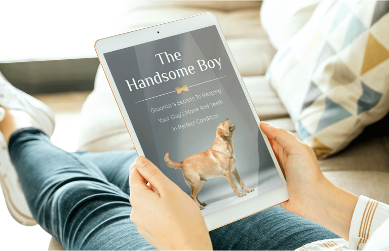 Person reading ‘The Handsome Boy’ grooming eBook on a tablet—UltraK9 Pro bonus.